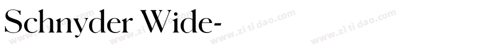 Schnyder Wide字体转换